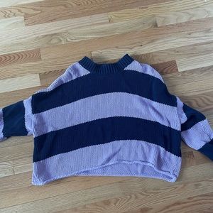 Aerie Purple and Navy cropped Sweater